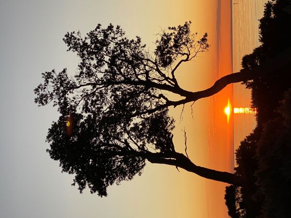sunset dromana